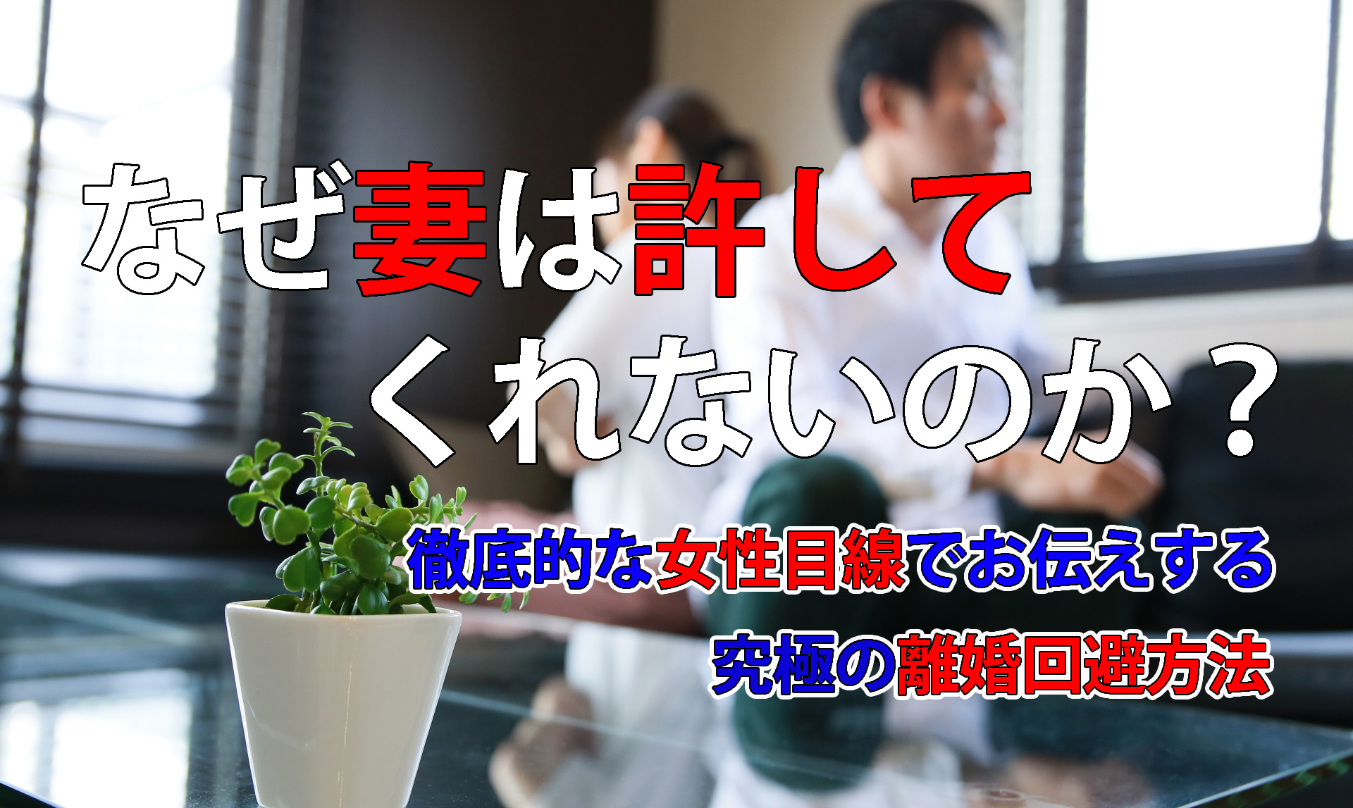 女性が書いた男性のための離婚回避マニュアルの内容